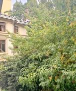 Top Bucharest