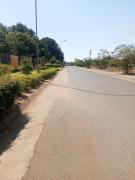 Top Livingstone
