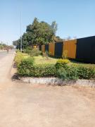 Top Livingstone