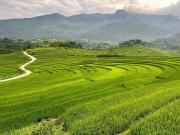 Top Lũng Tiềm