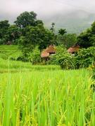 Top Lũng Tiềm