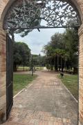 Top Foligno