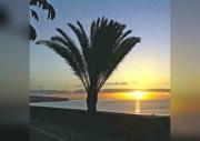 Top Playa del Ingles