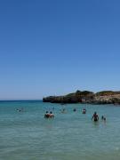 Top Arenella