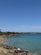 Top Arenella