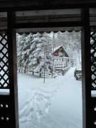 Top Sinaia