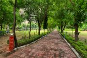 Top Sohna