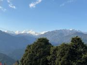 Top Pelling