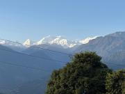 Top Pelling