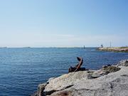 Top Öckerö