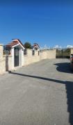 Top Torre Ovo