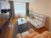 Vytauto central apartments
