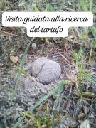 Top Acqualagna