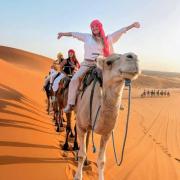 Top Merzouga