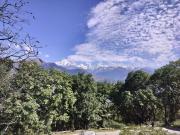 Top Munsyari