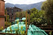 Top Sorrento