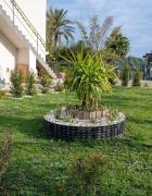 Top Giarre