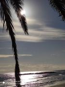 Top Grottammare