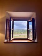 Top Pelago