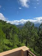 Top Shimla