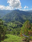 Top Shimla