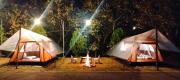 Accommodation offer 17542430