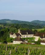 Domaine de Saint Loth