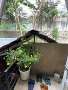 Top Dồng Văn