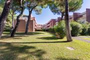 Top Marina di Bibbona