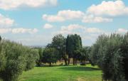 Top Appignano Top Appignano