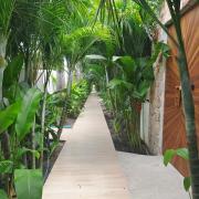 Top Amphoe Koh Samui