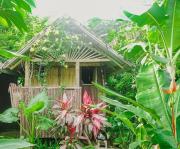 Banana Grove Travellers Inn