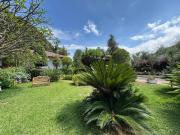 Pomelia Garden - Relax & Nature