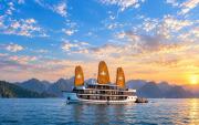 Top Ha Long Top Ha Long