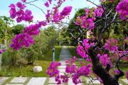 Top Phu Quoc