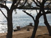 Top Brodarica Top Brodarica