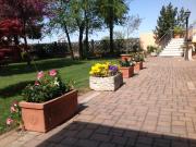 Top San Giovanni Lupatoto