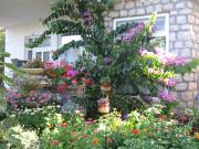 Edi + Minja Edi + Minja