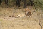 Top Hectorspruit Top Hectorspruit