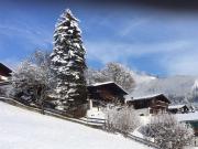 Chalet in Niedernsill near Zell am See Ski Area
