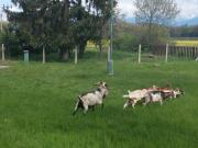 Top Liptovský Hrádok