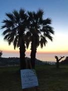 Top San Benedetto del Tronto