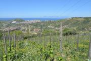 Top Agropoli