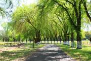 Top Ukiah