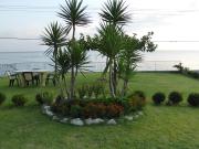 Top Kókkinon Nerón