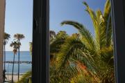 Top Imperia