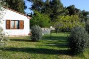 Top Populonia