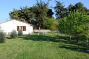 Top Populonia