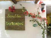 Top Koukounaries Top Koukounaries