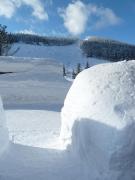 Top Harrachov